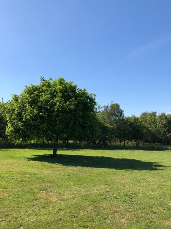 Meadows Barn Lejlighed Chelmsford Eksteriør billede
